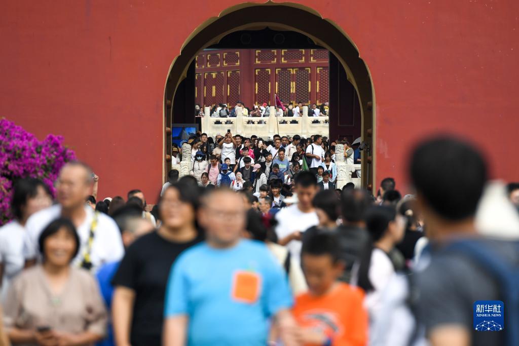 查澳门天天马全年资料